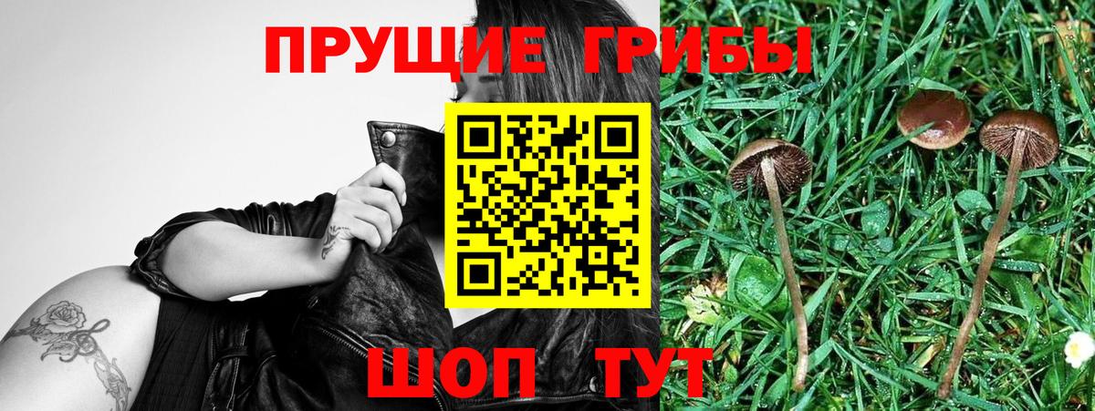 Троицк  Галлюциногенные грибы MAGIC MUSHROOMS  Псилоцибиновые грибы мухоморы  Вход с VPN 