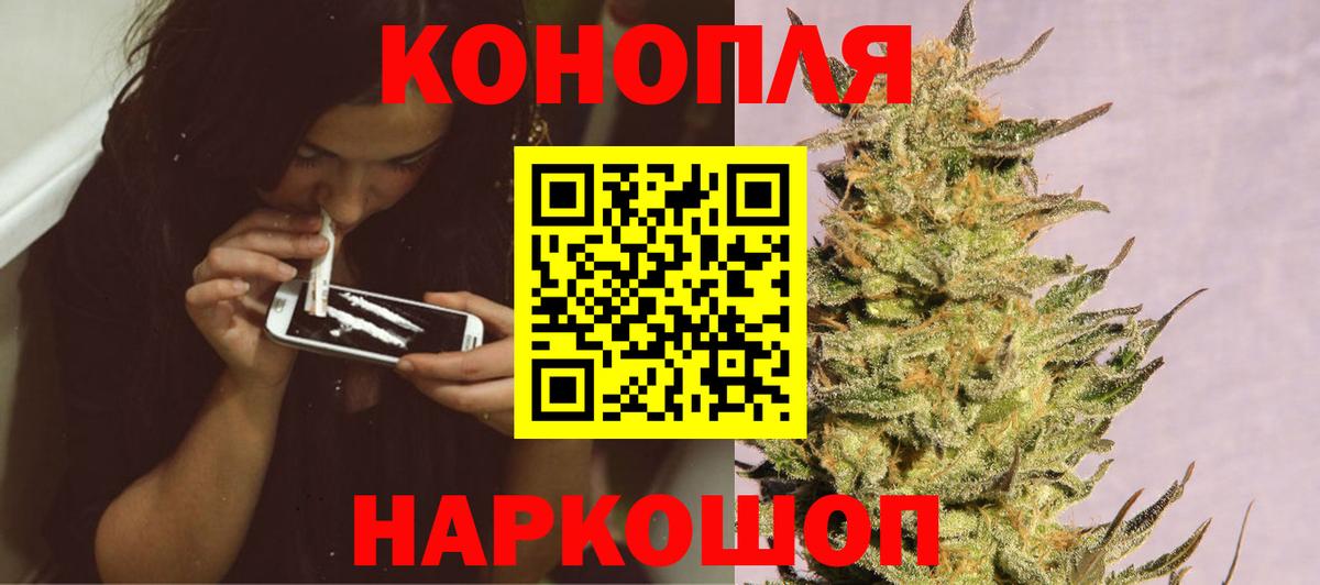 Шишки марихуана план  Шишки марихуана White Widow  Вход с VPN  Троицк 